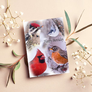 Carte d'anniversaire Variété d'oiseaux joyeux