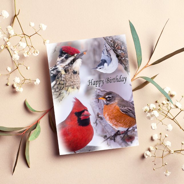 Carte d'anniversaire Variété d'oiseaux joyeux (Créateur téléchargé)