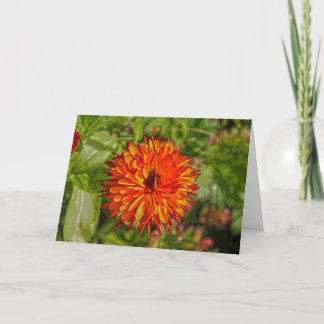 Carte d'anniversaire vibrante