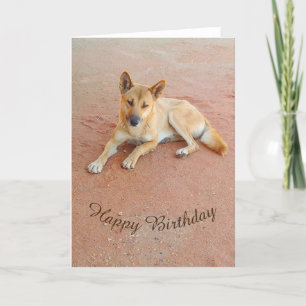 Carte d'anniversaire vide - Dingo