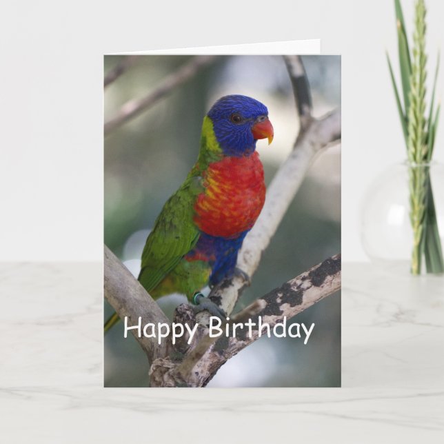Carte d'anniversaire vierge de Lorikeet (Devant)