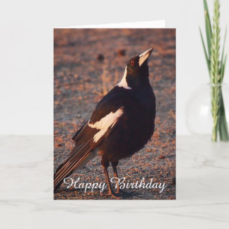 Carte d'anniversaire vierge - Magpie australienne