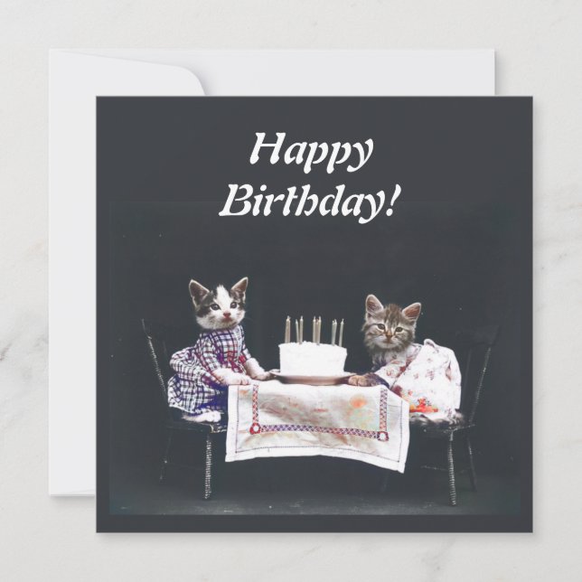 Carte d'anniversaire vintage Kittens (Devant)
