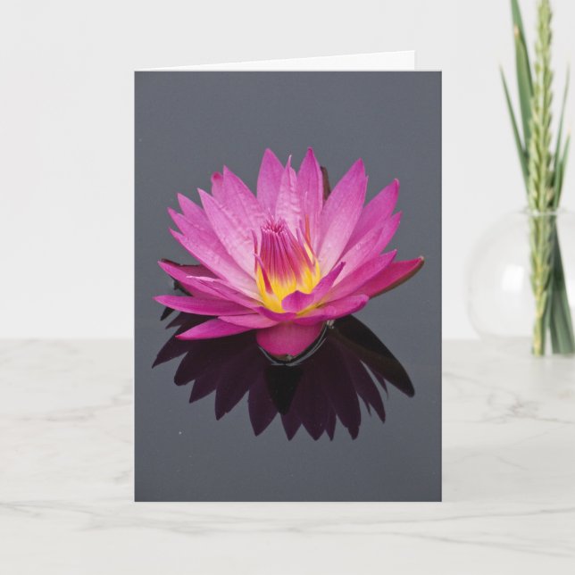 Carte d'anniversaire Water Lily (Devant)