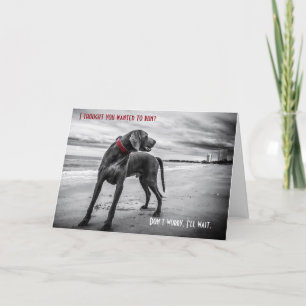 Carte d'anniversaire Weimaraner