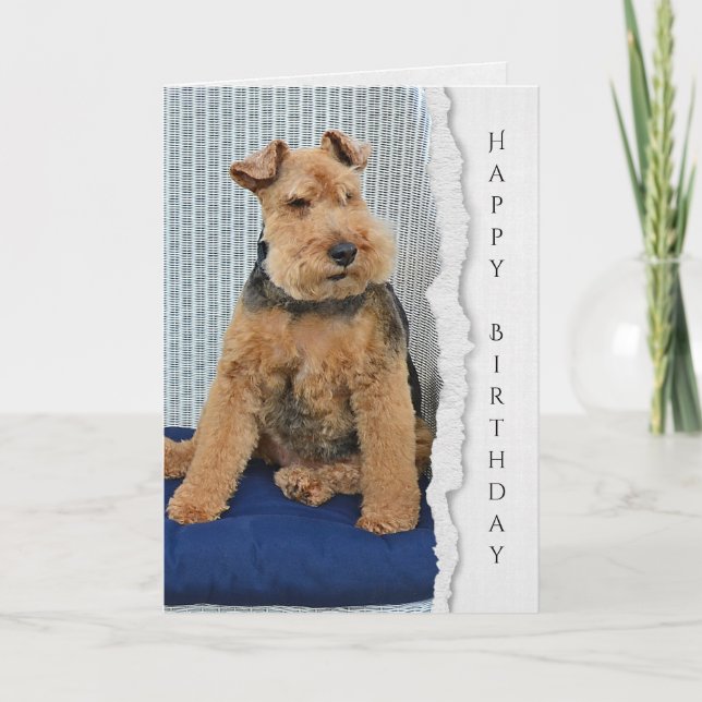 Carte d'anniversaire Welsh Terrier (Devant)