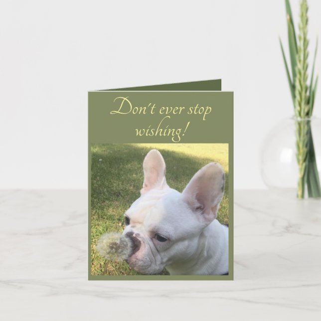 Carte d'anniversaire Wishing French Bulldog Dandel (Devant)