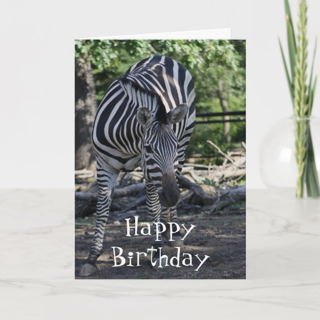 carte d'anniversaire zebra (Devant)
