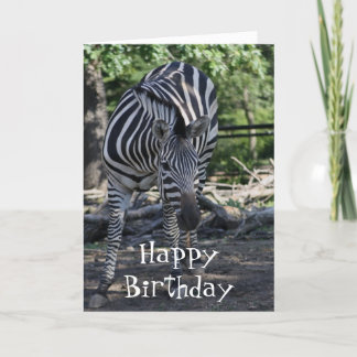 carte d'anniversaire zebra