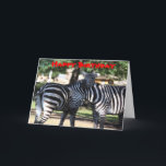 Carte d'anniversaire Zebra Friends<br><div class="desc">Photo prise au zoo de deux zèbres se frottant la tête l'un contre l'autre.  Copyright par Brenda Thour 2010.</div>