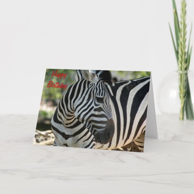 Carte d'anniversaire Zebra Pose (Devant)