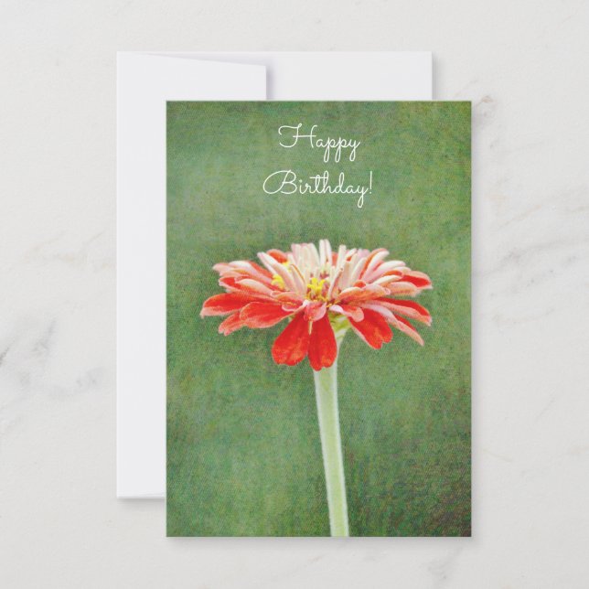Carte d'anniversaire Zinnia Red Flower Artsy (Devant)