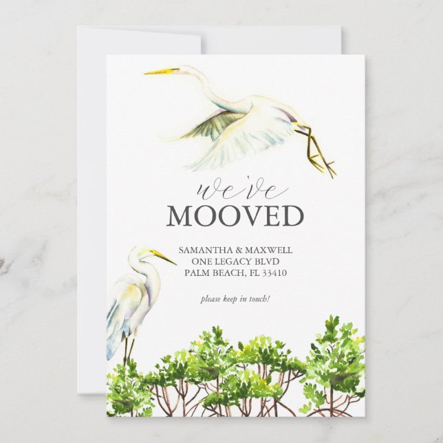 Carte d'annonce de déménagement oiseau & mangrove  (Devant)