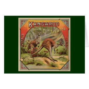 Carte d'annonce de kangourou