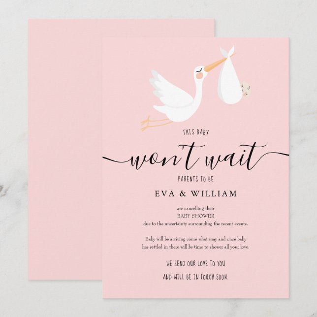 Carte d'annulation de Baby Shower et Sprinkle (Devant / Derrière)