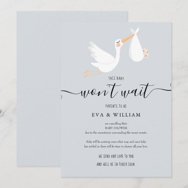 Carte d'annulation de Baby Shower et Sprinkle (Devant / Derrière)