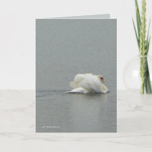 Carte Dans la beauté