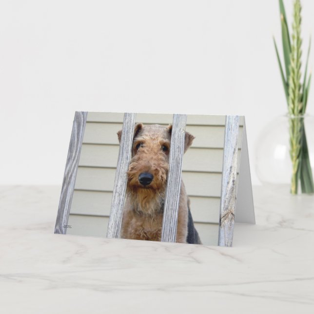 Carte "Dans la niche" (Devant)