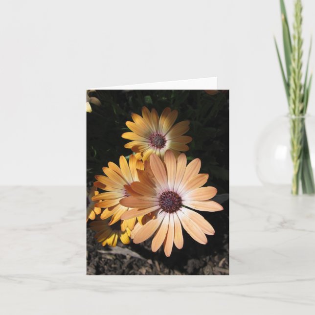 Carte Dans le pâle (Devant)