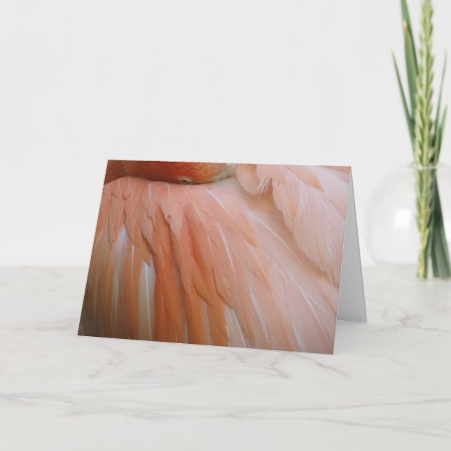 Carte Dans le rose (Devant)