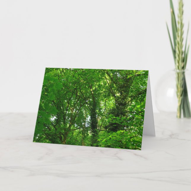Carte Dans les arbres (Devant)