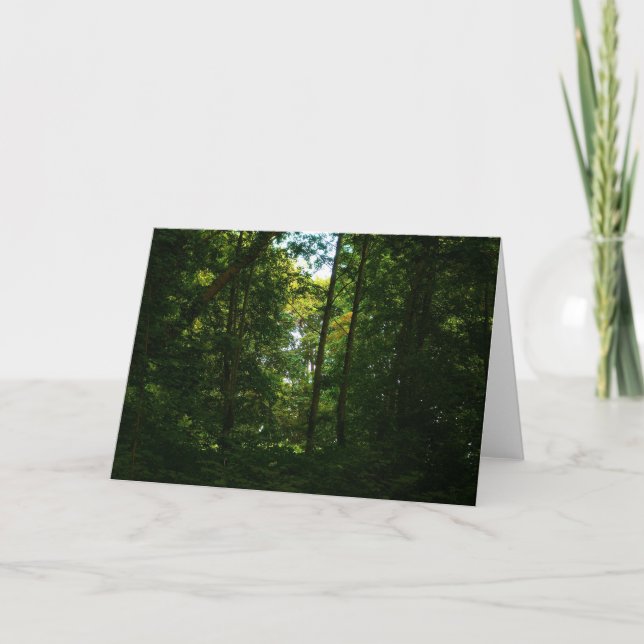 Carte Dans les bois sombres (Devant)