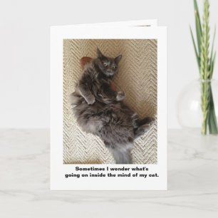 Carte Dans l'esprit des chats