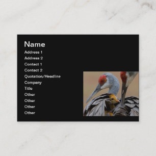 Carte D'appel Bébé Sandhill avec la maman