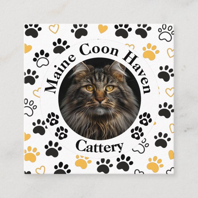Carte D'appel Custom Maine Coon Cattery Square Business Card  (Devant)