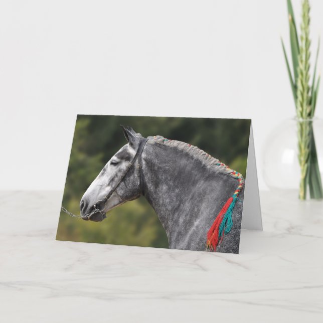 Carte Dappy gris Percheron cheval anniversaire (Devant)