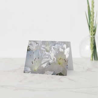 Carte d'Aquarelle blanche Azaleas