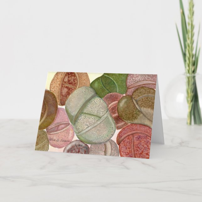 Carte d'aquarelle Lithops par Debra Lee Baldwin (Devant)