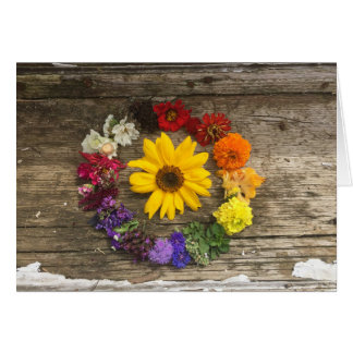 Carte d'arc-en-ciel de tournesol