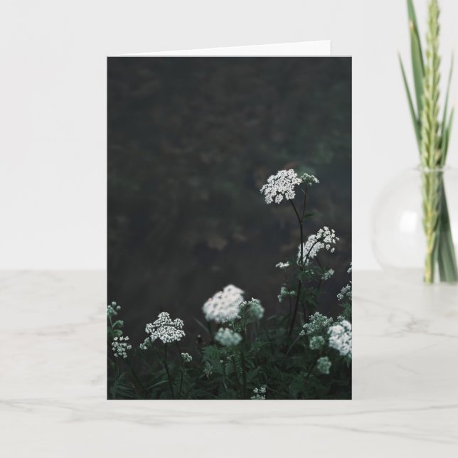 Carte Dark and moody meadow, Sympathy (Devant)