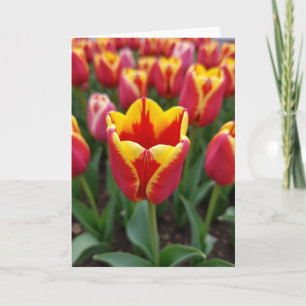 Carte d'art à fleurs éclatantes