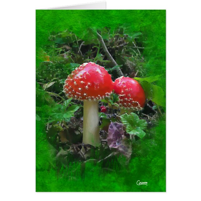 Carte d'art Amanita Muscaria sur Vert - 5" x 7" (Devant)