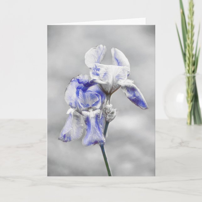 Carte d'art Artsy Blue Grey Iris (Devant)