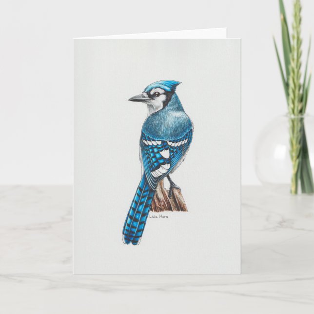 Carte d'art Blue Jay (Devant)