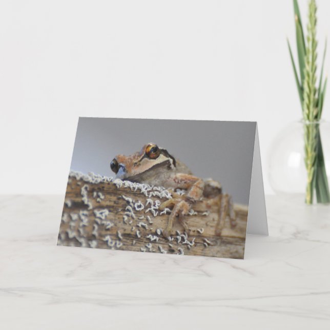 Carte d'art Cutie Pacific Tree Frog-Frameable (Devant)