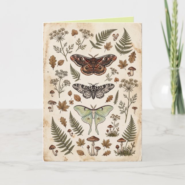 Carte d'art de fleurs et de feuillage de papillons (Devant)