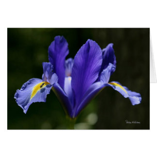 Carte d'art de Frameable