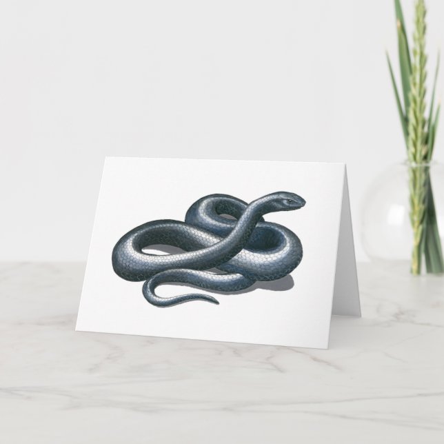 Carte d'art de l'Est Indigo Snake Nature (Devant)