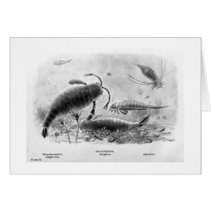 carte d'art de Mer-scorpions