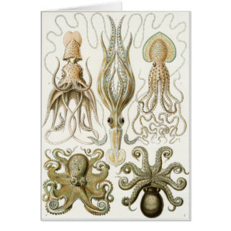 Carte d'art d'Ernst Haeckel : Gamochonia