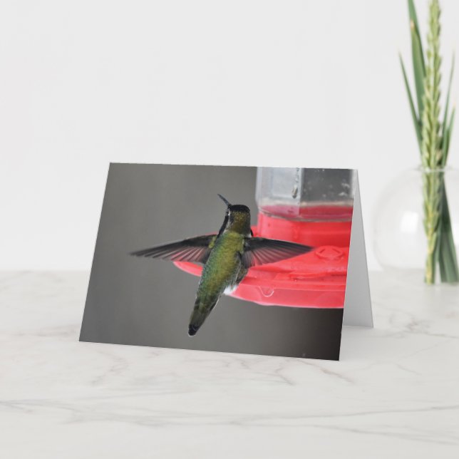 Carte d'art encadrable de colibri Anna (Devant)