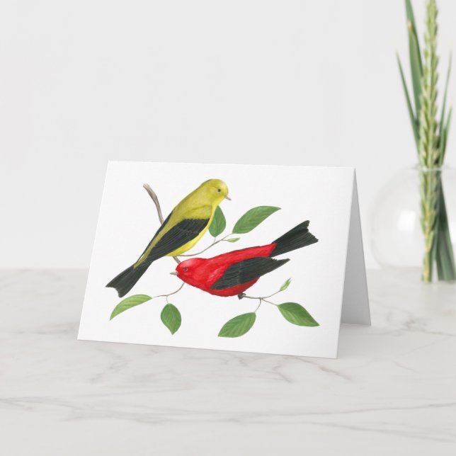 Carte d'art faunique Scarlet Tanager (Devant)