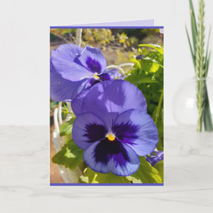 Carte d'art floral Pansy