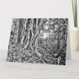 Carte d'art géant de la forêt tropicale Australie