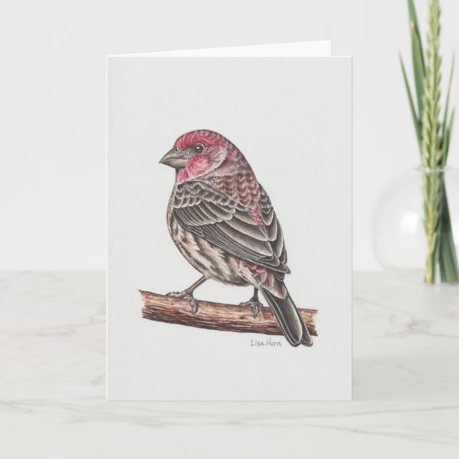 Carte d'art House Finch (Devant)
