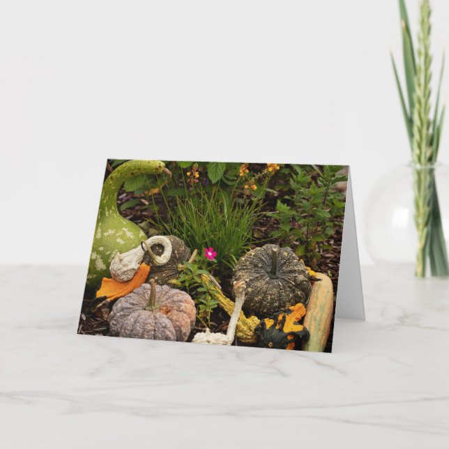 Carte d'art numérique aux courges et citrouilles (Devant)